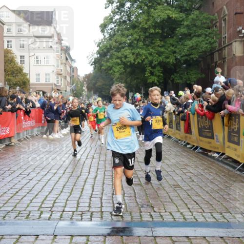 13.09.2026 - Kiel Lauf Yannick Fuchs http://msf.ph/oto/10279833 13.09.2026 08:52:58 Ziel 237, 1263, 2402, 2609, 5147, 5149, 5373, 5405, 6210, 6283, 6579, 7025, 7085, 7423, 7611, 10024, 10627, 10991, 11706, 12397, 12488, 1799, 2613, 3782, 4158, 4668, 5075, 5121, 5334, 6517, 7881, 7894, 8745, 10396, 10414, 10779, 11248, 12454, 12460, 2985, 3316, 3419, 4060, 4756, 5342, 5436, 6103, 8018, 8510, 8541, 8601, 8819, 10390, 1647, 1809, 3871, 6517, 6937, 9381, 10102, 11752 meine-sportfotos.de