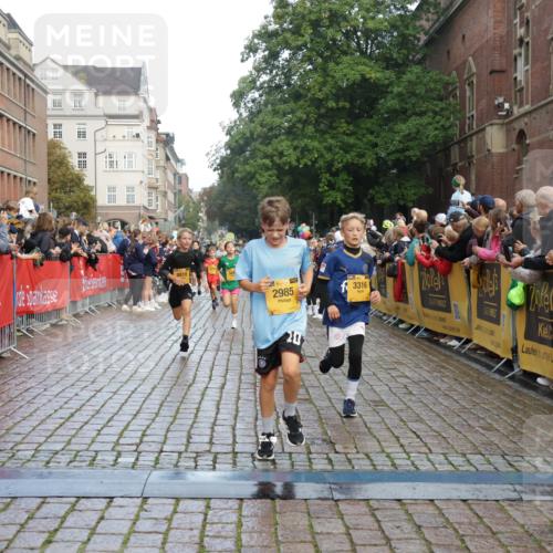 13.09.2026 - Kiel Lauf Yannick Fuchs http://msf.ph/oto/10279839 13.09.2026 08:52:59 Ziel 237, 1263, 2402, 2609, 5147, 5149, 5373, 5405, 6210, 6283, 6579, 7025, 7085, 7423, 7611, 8018, 8510, 10024, 10627, 10991, 11706, 12397, 12488, 1799, 2402, 2609, 2613, 3782, 4158, 4668, 5075, 5121, 5334, 6283, 6517, 7025, 7423, 7881, 7894, 8745, 10396, 10414, 10779, 11248, 12397, 12454, 12460, 1919, 2985, 3316, 3419, 4060, 4756, 5342, 5436, 6103, 7170, 8541, 8601, 8819, 10390, 1647, 1809, 6517, 6937, 9381, 11752 meine-sportfotos.de
