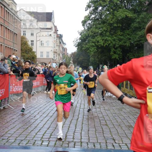 13.09.2026 - Kiel Lauf Yannick Fuchs http://msf.ph/oto/10279885 13.09.2026 08:53:02 Ziel 237, 1263, 4756, 5147, 5149, 5373, 6579, 7085, 7611, 8018, 8510, 10024, 10627, 10991, 11706, 12488, 1799, 2402, 2609, 2613, 3782, 4158, 4668, 5075, 5121, 5334, 5405, 6210, 6283, 7025, 7423, 7611, 7881, 7894, 8745, 10396, 10414, 10779, 10991, 11248, 12397, 12454, 12460, 1919, 2743, 2985, 3316, 3419, 4060, 5284, 5342, 5436, 6103, 7170, 7875, 8095, 8541, 8601, 8819, 10390, 12168, 1647, 1809, 3782, 6517, 7881, 9381 meine-sportfotos.de
