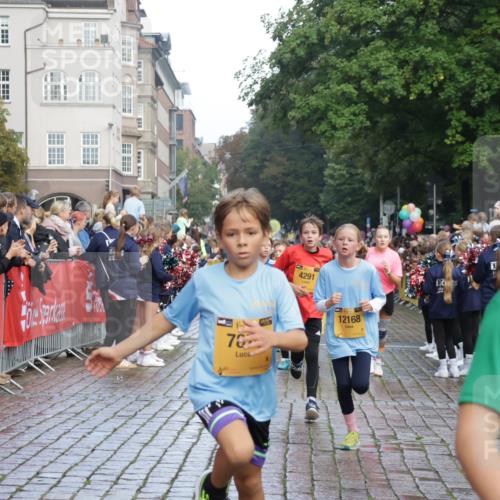 13.09.2026 - Kiel Lauf Yannick Fuchs http://msf.ph/oto/10279908 13.09.2026 08:53:04 Ziel 237, 1263, 4756, 5149, 5342, 5373, 6579, 7085, 8018, 8510, 8601, 10024, 10627, 11706, 1799, 2402, 2609, 2613, 3782, 4158, 4668, 5075, 5121, 5147, 5334, 5405, 6210, 6283, 7025, 7423, 7611, 7894, 8745, 10024, 10396, 10414, 10779, 10991, 11248, 12397, 12454, 12460, 12488, 347, 1919, 2570, 2743, 2985, 3316, 3419, 4060, 4291, 5284, 5436, 6103, 7170, 7875, 8095, 8541, 8819, 8947, 10390, 12168, 3782, 5075, 6517, 7881, 9381 meine-sportfotos.de