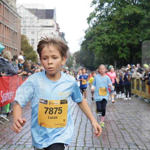 13.09.2026 - Kiel Lauf Yannick Fuchs http://msf.ph/oto/10279917 13.09.2026 08:53:05 Ziel 237, 1263, 4756, 5149, 5342, 5373, 6579, 7085, 8018, 8510, 8601, 10627, 11706, 1799, 2402, 2609, 2613, 3782, 4158, 4668, 5075, 5121, 5147, 5334, 5405, 6210, 6283, 7025, 7423, 7611, 7894, 8745, 10024, 10396, 10414, 10779, 10991, 11248, 12397, 12454, 12460, 12488, 347, 1919, 2570, 2743, 2985, 3316, 3419, 4060, 4291, 5284, 5344, 5436, 6103, 6846, 7170, 7875, 8095, 8541, 8819, 8947, 9410, 10390, 11455, 12168, 3782, 5075, 6517, 7881 meine-sportfotos.de