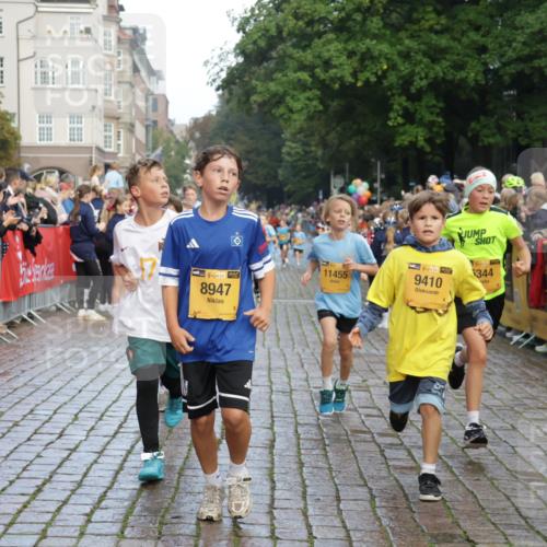 13.09.2026 - Kiel Lauf Yannick Fuchs http://msf.ph/oto/10279950 13.09.2026 08:53:08 Ziel 1263, 4060, 4756, 5342, 5373, 5436, 6579, 7085, 8018, 8510, 8601, 10390, 237, 1263, 1799, 2402, 2609, 2613, 4158, 4668, 5121, 5147, 5149, 5334, 5405, 6210, 6283, 7025, 7423, 7611, 7894, 8745, 10024, 10414, 10627, 10779, 10991, 11248, 11706, 12397, 12454, 12460, 12488, 347, 1919, 2570, 2614, 2743, 2985, 3210, 3316, 3328, 3419, 4291, 5284, 5344, 6103, 6846, 6894, 6979, 7170, 7635, 7875, 8095, 8541, 8819, 8947, 9410, 11455, 12168, 3782, 5075, 7881 meine-sportfotos.de