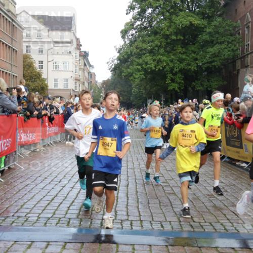 13.09.2026 - Kiel Lauf Yannick Fuchs http://msf.ph/oto/10279959 13.09.2026 08:53:08 Ziel 1263, 4060, 4756, 5342, 5373, 5436, 6579, 7085, 8018, 8510, 8601, 10390, 237, 1263, 1799, 2402, 2609, 2613, 4158, 4668, 5121, 5147, 5149, 5334, 5405, 6210, 6283, 7025, 7423, 7611, 7894, 8745, 10024, 10414, 10627, 10779, 10991, 11248, 11706, 12397, 12454, 12460, 12488, 347, 1919, 2570, 2614, 2743, 2985, 3210, 3316, 3328, 3419, 4291, 5284, 5344, 6103, 6846, 6894, 6979, 7170, 7635, 7875, 8095, 8541, 8819, 8947, 9410, 11455, 12168, 3782, 5075, 7881 meine-sportfotos.de