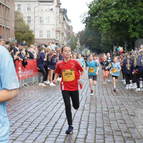 13.09.2026 - Kiel Lauf Yannick Fuchs http://msf.ph/oto/10280070 13.09.2026 08:53:15 Ziel 1919, 2985, 3316, 3419, 4060, 4756, 5342, 5436, 6103, 7170, 7875, 8095, 8541, 8601, 8819, 10390, 237, 1263, 1799, 2402, 2609, 4158, 4668, 4756, 5121, 5147, 5149, 5334, 5373, 5405, 6210, 6283, 6579, 7025, 7085, 7423, 7611, 8018, 8510, 8745, 10024, 10414, 10627, 10991, 11248, 11706, 12397, 12454, 12488, 347, 1159, 2016, 2570, 2614, 2743, 3210, 3328, 4291, 5177, 5284, 5344, 5455, 6846, 6894, 6979, 7240, 7635, 8857, 8947, 9410, 10122, 11455, 12168, 2613 meine-sportfotos.de