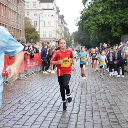 13.09.2026 - Kiel Lauf Yannick Fuchs http://msf.ph/oto/10280075 13.09.2026 08:53:16 Ziel 1919, 2743, 2985, 3316, 3419, 4060, 5342, 5436, 6103, 7170, 7875, 8095, 8541, 8601, 8819, 10390, 237, 1263, 2402, 2609, 4158, 4668, 4756, 5121, 5147, 5149, 5334, 5373, 5405, 6210, 6283, 6579, 7025, 7085, 7423, 7611, 8018, 8510, 8745, 10024, 10414, 10627, 10991, 11248, 11706, 12397, 12454, 12488, 347, 1159, 2016, 2570, 2614, 3210, 3328, 4291, 5177, 5284, 5344, 5455, 6846, 6894, 6979, 7240, 7635, 8857, 8947, 9410, 10122, 11455, 12168, 2613 meine-sportfotos.de