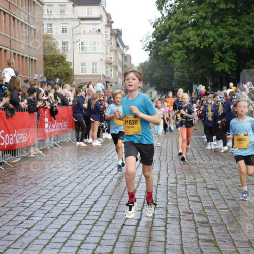 13.09.2026 - Kiel Lauf Yannick Fuchs http://msf.ph/oto/10280107 13.09.2026 08:53:17 Ziel 1919, 2743, 2985, 3316, 3419, 4060, 5284, 5342, 5436, 6103, 7170, 7875, 8095, 8541, 8601, 8819, 10390, 12168, 237, 1263, 2402, 2609, 4158, 4668, 4756, 5147, 5149, 5334, 5373, 5405, 6210, 6283, 6579, 7025, 7085, 7423, 7611, 8018, 8510, 10024, 10414, 10627, 10991, 11248, 11706, 12397, 12454, 12488, 347, 1159, 2016, 2570, 2614, 3210, 3328, 4291, 5177, 5344, 5455, 6004, 6846, 6894, 6979, 7240, 7635, 8525, 8857, 8947, 9410, 10122, 11455, 2613 meine-sportfotos.de