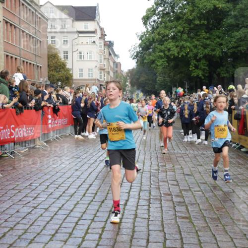 13.09.2026 - Kiel Lauf Yannick Fuchs http://msf.ph/oto/10280113 13.09.2026 08:53:17 Ziel 1919, 2743, 2985, 3316, 3419, 4060, 5284, 5342, 5436, 6103, 7170, 7875, 8095, 8541, 8601, 8819, 10390, 12168, 237, 1263, 2402, 2609, 4158, 4668, 4756, 5147, 5149, 5334, 5373, 5405, 6210, 6283, 6579, 7025, 7085, 7423, 7611, 8018, 8510, 10024, 10414, 10627, 10991, 11248, 11706, 12397, 12454, 12488, 347, 1159, 2016, 2570, 2614, 3210, 3328, 4291, 5177, 5344, 5455, 6004, 6846, 6894, 6979, 7240, 7635, 8525, 8857, 8947, 9410, 10122, 11455, 2613 meine-sportfotos.de