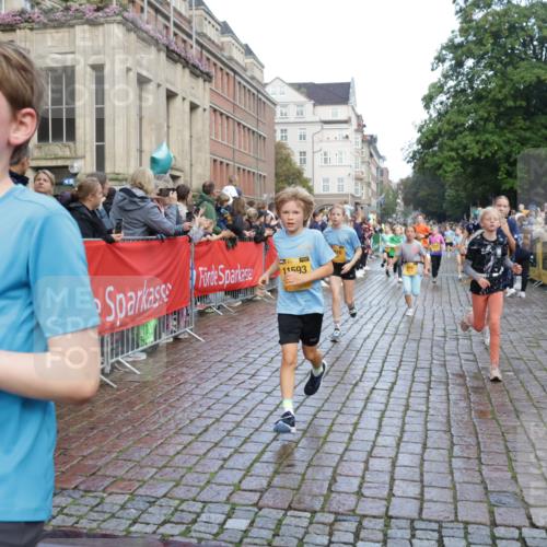 13.09.2026 - Kiel Lauf Yannick Fuchs http://msf.ph/oto/10280127 13.09.2026 08:53:19 Ziel 347, 1919, 2570, 2743, 2985, 3316, 3419, 4060, 4291, 5284, 5436, 6103, 7170, 7875, 8095, 8541, 8819, 8947, 10390, 12168, 237, 1263, 2402, 2609, 4158, 4668, 4756, 5147, 5149, 5342, 5373, 5405, 6210, 6283, 6579, 7025, 7085, 7423, 7611, 8018, 8510, 8601, 10024, 10414, 10627, 10991, 11248, 11706, 12397, 12454, 12488, 888, 1159, 2016, 2614, 3210, 3328, 5177, 5344, 5455, 6004, 6846, 6894, 6979, 7240, 7635, 8525, 8857, 9410, 9816, 10122, 11455, 2613 meine-sportfotos.de