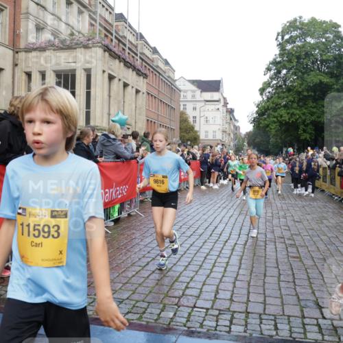 13.09.2026 - Kiel Lauf Yannick Fuchs http://msf.ph/oto/10280158 13.09.2026 08:53:20 Ziel 347, 1919, 2570, 2743, 2985, 3316, 3419, 4060, 4291, 5284, 5344, 5436, 6103, 6846, 7170, 7875, 8095, 8541, 8819, 8947, 9410, 10390, 11455, 12168, 237, 1263, 2402, 2609, 4158, 4668, 4756, 5147, 5149, 5342, 5373, 5405, 6210, 6283, 6579, 7025, 7085, 7423, 7611, 8018, 8510, 8601, 10024, 10414, 10627, 10991, 11248, 11706, 12397, 12454, 12488, 888, 1149, 1159, 2016, 2614, 3210, 3328, 5177, 5455, 6004, 6894, 6979, 7240, 7635, 8024, 8525, 8857, 8968, 9816, 10122 meine-sportfotos.de