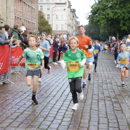13.09.2026 - Kiel Lauf Yannick Fuchs http://msf.ph/oto/10280183 13.09.2026 08:53:23 Ziel 347, 1919, 2570, 2614, 2743, 2985, 3210, 3316, 3328, 3419, 4291, 5284, 5344, 6103, 6846, 6894, 6979, 7170, 7635, 7875, 8095, 8541, 8819, 8947, 9410, 11455, 12168, 237, 1263, 2402, 2609, 4060, 4756, 5147, 5149, 5342, 5373, 5405, 5436, 6210, 6283, 6579, 7025, 7085, 7423, 7611, 8018, 8510, 8601, 10024, 10390, 10627, 10991, 11706, 12397, 12488, 888, 1149, 1159, 1332, 2016, 5120, 5177, 5455, 6004, 6702, 7240, 8024, 8525, 8671, 8857, 8968, 9816, 10122, 10997, 5405, 6210 meine-sportfotos.de