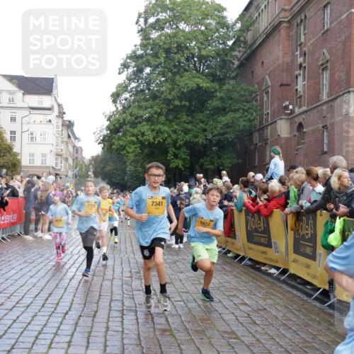 13.09.2026 - Kiel Lauf Yannick Fuchs http://msf.ph/oto/10280415 13.09.2026 08:53:39 Ziel 888, 1149, 1159, 1332, 2016, 5120, 5177, 5455, 6004, 6702, 7240, 8024, 8525, 8671, 8857, 8968, 9816, 10122, 10997, 11185, 11593, 11830, 12548, 12828, 347, 1919, 2570, 2614, 2743, 2985, 3210, 3316, 3328, 3419, 4060, 4291, 4756, 5284, 5342, 5344, 5436, 6103, 6846, 6894, 6979, 7170, 7635, 7875, 8018, 8095, 8510, 8541, 8601, 8819, 8947, 9410, 10122, 10390, 11185, 11455, 12168, 120, 193, 258, 262, 1529, 1823, 2141, 2447, 3234, 4607, 4791, 5432, 6267, 6628 meine-sportfotos.de