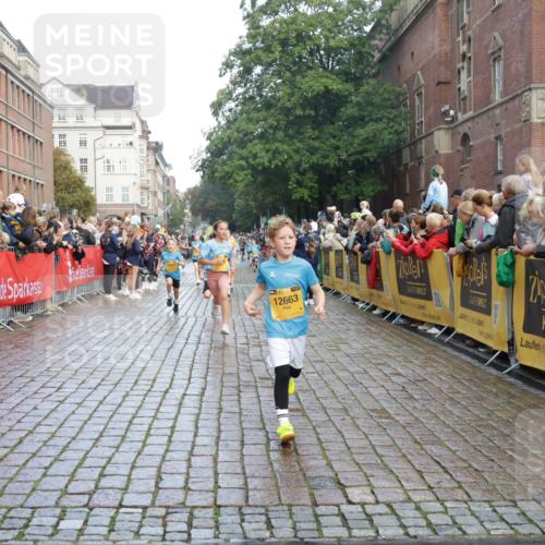 13.09.2026 - Kiel Lauf Yannick Fuchs http://msf.ph/oto/10280445 13.09.2026 08:53:42 Ziel 888, 1149, 1332, 2016, 2447, 3234, 5120, 5455, 6004, 6702, 8024, 8525, 8671, 8968, 9816, 10997, 11170, 11593, 11830, 12511, 12548, 12828, 347, 1159, 1919, 2570, 2614, 2743, 2985, 3210, 3316, 3328, 3419, 4060, 4291, 5177, 5284, 5342, 5344, 5436, 6103, 6846, 6894, 6979, 7170, 7240, 7635, 7875, 8095, 8541, 8601, 8819, 8857, 8947, 9410, 10122, 10390, 11185, 11455, 12168, 120, 193, 258, 262, 1529, 1823, 2141, 4607, 4791, 5432, 6267, 6628, 5342, 8601 meine-sportfotos.de