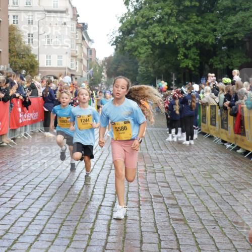 13.09.2026 - Kiel Lauf Yannick Fuchs http://msf.ph/oto/10280460 13.09.2026 08:53:43 Ziel 888, 1149, 1332, 2016, 2447, 3234, 5120, 5455, 6004, 6628, 6702, 8024, 8525, 8671, 8968, 9816, 10997, 11170, 11593, 11830, 12511, 12548, 12828, 347, 1159, 1919, 2016, 2570, 2614, 2743, 2985, 3210, 3316, 3328, 3419, 4060, 4291, 5177, 5284, 5342, 5344, 5436, 6103, 6846, 6894, 6979, 7170, 7240, 7635, 7875, 8095, 8541, 8601, 8819, 8857, 8947, 9410, 10122, 10390, 11185, 11455, 12168, 120, 193, 258, 262, 1529, 1823, 2141, 4607, 4791, 5432, 6267, 5342, 8601 meine-sportfotos.de