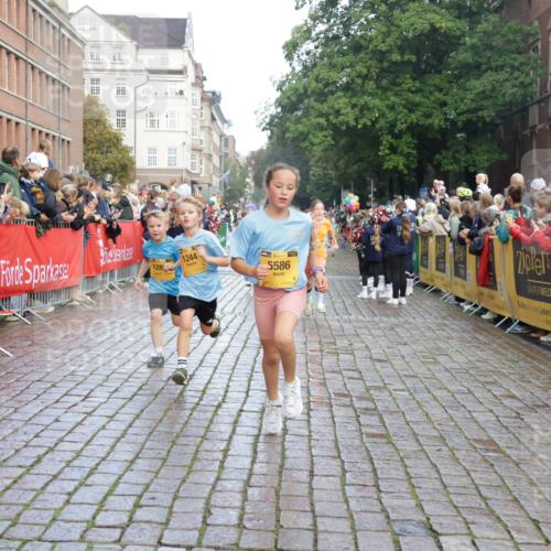 13.09.2026 - Kiel Lauf Yannick Fuchs http://msf.ph/oto/10280466 13.09.2026 08:53:43 Ziel 888, 1149, 1332, 2016, 2447, 3234, 5120, 5455, 6004, 6628, 6702, 8024, 8525, 8671, 8968, 9816, 10997, 11170, 11593, 11830, 12511, 12548, 12828, 347, 1159, 1919, 2016, 2570, 2614, 2743, 2985, 3210, 3316, 3328, 3419, 4060, 4291, 5177, 5284, 5342, 5344, 5436, 6103, 6846, 6894, 6979, 7170, 7240, 7635, 7875, 8095, 8541, 8601, 8819, 8857, 8947, 9410, 10122, 10390, 11185, 11455, 12168, 120, 193, 258, 262, 1529, 1823, 2141, 4607, 4791, 5432, 6267, 5342, 8601 meine-sportfotos.de