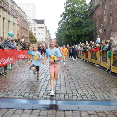 13.09.2026 - Kiel Lauf Yannick Fuchs http://msf.ph/oto/10280479 13.09.2026 08:53:44 Ziel 888, 1149, 1332, 2447, 3234, 5120, 5455, 6004, 6628, 6702, 8024, 8525, 8671, 8968, 9816, 10997, 11170, 11593, 11830, 12511, 12548, 12828, 347, 1159, 1919, 2016, 2570, 2614, 2743, 2985, 3210, 3316, 3328, 3419, 4060, 4291, 5177, 5284, 5344, 5436, 5455, 6103, 6846, 6894, 6979, 7170, 7240, 7635, 7875, 8095, 8541, 8819, 8857, 8947, 9410, 10122, 10390, 11185, 11455, 11830, 12168, 120, 193, 258, 262, 1529, 1823, 2141, 4607, 4791, 5432, 6267, 5342, 8601 meine-sportfotos.de
