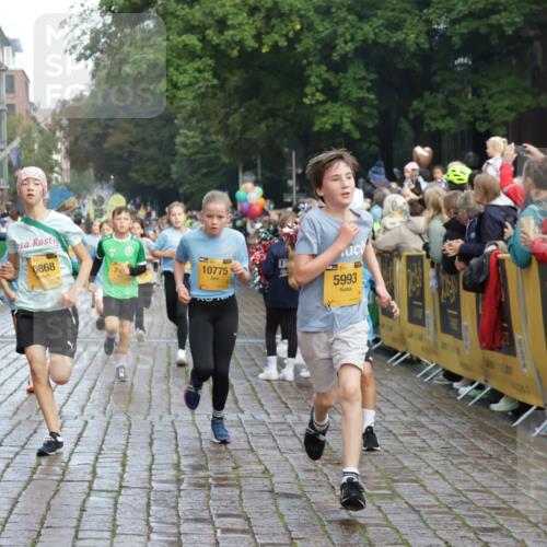 13.09.2026 - Kiel Lauf Yannick Fuchs http://msf.ph/oto/10280504 13.09.2026 08:53:48 Ziel 258, 262, 888, 1149, 1332, 2447, 3234, 4607, 4791, 5120, 6267, 6628, 6702, 6733, 8024, 8671, 8968, 9266, 9816, 10997, 11170, 11593, 12511, 12548, 12711, 12828, 347, 888, 1159, 1919, 2016, 2570, 2614, 2743, 2985, 3210, 3316, 3328, 3419, 4291, 5177, 5284, 5344, 5455, 6004, 6103, 6846, 6894, 6979, 7170, 7240, 7635, 7875, 8095, 8525, 8541, 8819, 8857, 8947, 9410, 10122, 11185, 11455, 11830, 12168, 120, 193, 488, 1529, 1823, 2141, 5432, 5342, 8601 meine-sportfotos.de