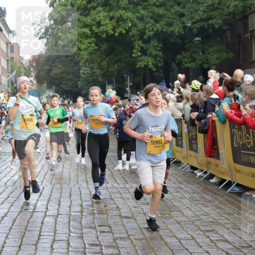 13.09.2026 - Kiel Lauf Yannick Fuchs http://msf.ph/oto/10280507 13.09.2026 08:53:48 Ziel 258, 262, 888, 1149, 1332, 2447, 3234, 4607, 4791, 5120, 6267, 6628, 6702, 6733, 8024, 8671, 8968, 9266, 9816, 10997, 11170, 11593, 12511, 12548, 12711, 12828, 347, 888, 1159, 1919, 2016, 2570, 2614, 2743, 2985, 3210, 3316, 3328, 3419, 4291, 5177, 5284, 5344, 5455, 6004, 6103, 6846, 6894, 6979, 7170, 7240, 7635, 7875, 8095, 8525, 8541, 8819, 8857, 8947, 9410, 10122, 11185, 11455, 11830, 12168, 120, 193, 488, 1529, 1823, 2141, 5432, 5342, 8601 meine-sportfotos.de