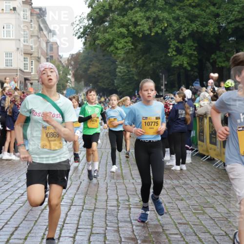 13.09.2026 - Kiel Lauf Yannick Fuchs http://msf.ph/oto/10280517 13.09.2026 08:53:49 Ziel 193, 258, 262, 1149, 1332, 1529, 2447, 3234, 4607, 4791, 5120, 5432, 6267, 6628, 6702, 6733, 8024, 8332, 8671, 8968, 9266, 9816, 10997, 11170, 11593, 12511, 12548, 12711, 12828, 347, 888, 1159, 1919, 2016, 2570, 2614, 2743, 2985, 3210, 3316, 3328, 3419, 4291, 5177, 5284, 5344, 5455, 6004, 6103, 6846, 6894, 6979, 7170, 7240, 7635, 7875, 8095, 8525, 8541, 8819, 8857, 8947, 9410, 9816, 10122, 11185, 11455, 11593, 11830, 12168, 120, 488, 1823, 2141, 5342, 8601 meine-sportfotos.de