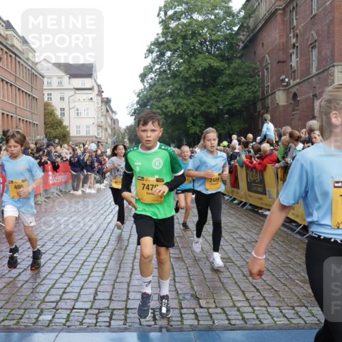 13.09.2026 - Kiel Lauf Yannick Fuchs http://msf.ph/oto/10280556 13.09.2026 08:53:52 Ziel 120, 193, 258, 262, 1332, 1529, 1823, 2122, 2141, 2447, 3234, 4607, 4791, 5432, 6267, 6628, 6702, 6733, 7341, 7815, 8006, 8332, 9266, 10726, 11170, 12511, 12711, 12828, 347, 888, 1149, 1159, 1919, 2016, 2570, 2614, 2743, 3210, 3328, 3419, 4291, 5120, 5177, 5284, 5344, 5455, 6004, 6846, 6894, 6979, 7170, 7240, 7635, 7875, 8024, 8095, 8525, 8541, 8671, 8857, 8947, 8968, 9410, 9816, 10122, 10997, 11185, 11455, 11593, 11830, 12168, 12548, 12828, 488, 7875 meine-sportfotos.de