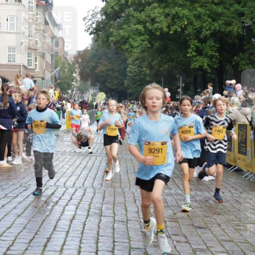 13.09.2026 - Kiel Lauf Yannick Fuchs http://msf.ph/oto/10280574 13.09.2026 08:53:56 Ziel 120, 193, 258, 262, 1244, 1529, 1823, 2122, 2141, 2324, 3234, 4607, 4791, 4956, 5432, 5586, 6267, 6628, 6733, 7341, 7815, 8006, 8332, 9266, 10726, 12511, 12663, 12711, 12829, 347, 888, 1149, 1159, 1332, 2016, 2447, 2570, 2614, 2743, 3210, 3328, 4291, 5120, 5177, 5284, 5344, 5455, 6004, 6702, 6846, 6894, 6979, 7240, 7635, 8024, 8525, 8671, 8857, 8947, 8968, 9410, 9816, 10122, 10997, 11170, 11185, 11455, 11593, 11830, 12168, 12511, 12548, 12828, 488, 1463, 2610, 4059, 7875 meine-sportfotos.de
