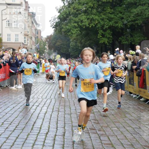 13.09.2026 - Kiel Lauf Yannick Fuchs http://msf.ph/oto/10280580 13.09.2026 08:53:56 Ziel 120, 193, 258, 262, 1244, 1529, 1823, 2122, 2141, 2324, 3234, 4607, 4791, 4956, 5432, 5586, 6267, 6628, 6733, 7341, 7815, 8006, 8332, 9266, 10726, 12511, 12663, 12711, 12829, 347, 888, 1149, 1159, 1332, 2016, 2447, 2570, 2614, 2743, 3210, 3328, 4291, 5120, 5177, 5284, 5344, 5455, 6004, 6702, 6846, 6894, 6979, 7240, 7635, 8024, 8525, 8671, 8857, 8947, 8968, 9410, 9816, 10122, 10997, 11170, 11185, 11455, 11593, 11830, 12168, 12511, 12548, 12828, 488, 1463, 2610, 4059, 7875 meine-sportfotos.de