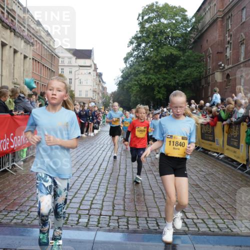 13.09.2026 - Kiel Lauf Yannick Fuchs http://msf.ph/oto/10280624 13.09.2026 08:54:00 Ziel 120, 193, 258, 262, 1244, 1529, 1823, 2122, 2141, 2324, 4607, 4791, 4956, 5432, 5586, 6267, 6733, 7341, 7815, 8006, 8332, 9266, 9880, 10726, 12111, 12663, 12711, 12829, 888, 1149, 1159, 1332, 2016, 2447, 2614, 3210, 3234, 3328, 4607, 5120, 5177, 5344, 5455, 6004, 6267, 6628, 6702, 6846, 6894, 6979, 7240, 7635, 8024, 8525, 8671, 8857, 8968, 9266, 9410, 9816, 10122, 10997, 11170, 11185, 11455, 11593, 11830, 12511, 12548, 12828, 488, 1218, 1463, 2610, 4059, 4494, 7875 meine-sportfotos.de