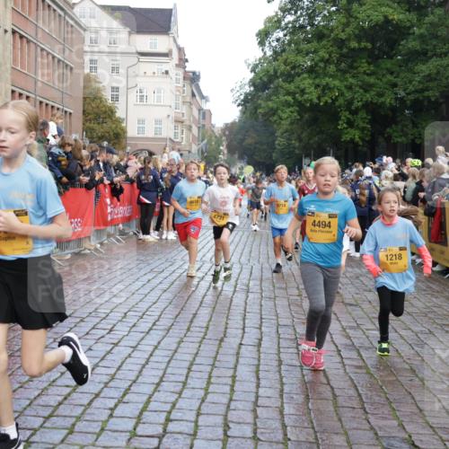 13.09.2026 - Kiel Lauf Yannick Fuchs http://msf.ph/oto/10280640 13.09.2026 08:54:02 Ziel 120, 193, 258, 262, 1244, 1529, 1823, 2122, 2141, 2324, 4791, 4956, 5432, 5586, 5993, 6733, 7341, 7815, 8006, 8332, 9850, 9880, 10726, 10775, 10868, 12111, 12112, 12663, 12711, 12829, 258, 262, 888, 1149, 1159, 1332, 2016, 2447, 2614, 3210, 3234, 3328, 4607, 5120, 5177, 5455, 6004, 6267, 6628, 6702, 6894, 6979, 7240, 7635, 8024, 8525, 8671, 8857, 8968, 9266, 9816, 10122, 10997, 11170, 11185, 11593, 11830, 12511, 12548, 12828, 488, 1218, 1463, 2610, 4059, 4494, 7875 meine-sportfotos.de