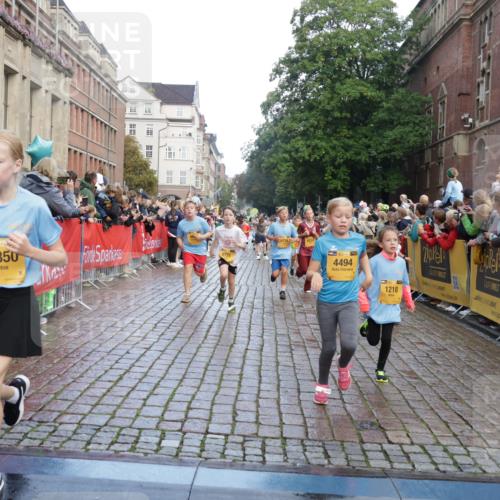 13.09.2026 - Kiel Lauf Yannick Fuchs http://msf.ph/oto/10280646 13.09.2026 08:54:02 Ziel 120, 193, 258, 262, 1244, 1529, 1823, 2122, 2141, 2324, 4791, 4956, 5432, 5586, 5993, 6733, 7341, 7815, 8006, 8332, 9850, 9880, 10726, 10775, 10868, 12111, 12112, 12663, 12711, 12829, 258, 262, 888, 1149, 1159, 1332, 2016, 2447, 2614, 3210, 3234, 3328, 4607, 5120, 5177, 5455, 6004, 6267, 6628, 6702, 6894, 6979, 7240, 7635, 8024, 8525, 8671, 8857, 8968, 9266, 9816, 10122, 10997, 11170, 11185, 11593, 11830, 12511, 12548, 12828, 488, 1218, 1463, 2610, 4059, 4494, 7875 meine-sportfotos.de