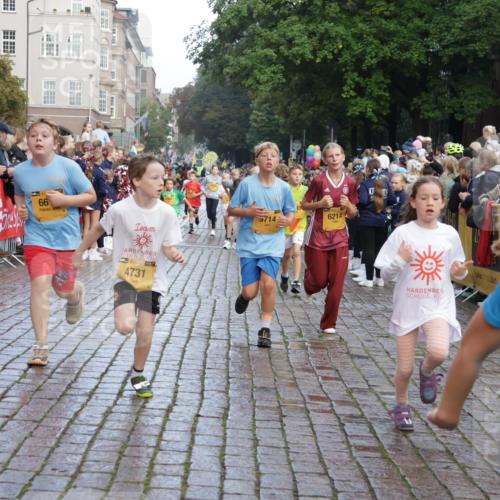 13.09.2026 - Kiel Lauf Yannick Fuchs http://msf.ph/oto/10280653 13.09.2026 08:54:03 Ziel 120, 193, 488, 1244, 1529, 1823, 2122, 2141, 2324, 2489, 4791, 4956, 5236, 5432, 5586, 5993, 6733, 7341, 7470, 7815, 8006, 8332, 9850, 9880, 10726, 10775, 10868, 12111, 12112, 12663, 12711, 12829, 258, 262, 888, 1149, 1159, 1332, 2016, 2447, 3210, 3234, 4607, 4791, 5120, 5177, 5455, 6004, 6267, 6628, 6702, 6733, 7240, 7635, 8024, 8525, 8671, 8857, 8968, 9266, 9816, 10122, 10997, 11170, 11185, 11593, 11830, 12511, 12548, 12711, 12828, 1218, 1463, 2610, 2742, 4059, 4494 meine-sportfotos.de