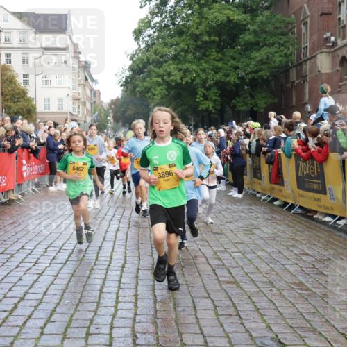 13.09.2026 - Kiel Lauf Yannick Fuchs http://msf.ph/oto/10280705 13.09.2026 08:54:08 Ziel 488, 1244, 1540, 2324, 2489, 4618, 4717, 4956, 5236, 5586, 5993, 6134, 7470, 9291, 9850, 9880, 10775, 10868, 12111, 12112, 12663, 12829, 120, 193, 258, 262, 888, 1149, 1332, 1529, 1823, 2016, 2122, 2141, 2447, 3234, 4607, 4791, 5120, 5432, 5455, 6004, 6267, 6628, 6702, 6733, 7341, 7815, 8006, 8024, 8332, 8525, 8671, 8968, 9266, 9816, 10726, 10997, 11170, 11593, 11830, 12511, 12548, 12711, 12828, 241, 1218, 1463, 2610, 2742, 3211, 3896, 4059, 4494 meine-sportfotos.de
