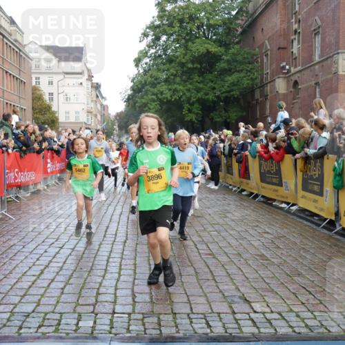 13.09.2026 - Kiel Lauf Yannick Fuchs http://msf.ph/oto/10280712 13.09.2026 08:54:08 Ziel 488, 1244, 1540, 2324, 2489, 4618, 4717, 4956, 5236, 5586, 5993, 6134, 7470, 9291, 9850, 9880, 10775, 10868, 12111, 12112, 12663, 12829, 120, 193, 258, 262, 888, 1149, 1332, 1529, 1823, 2016, 2122, 2141, 2447, 3234, 4607, 4791, 5120, 5432, 5455, 6004, 6267, 6628, 6702, 6733, 7341, 7815, 8006, 8024, 8332, 8525, 8671, 8968, 9266, 9816, 10726, 10997, 11170, 11593, 11830, 12511, 12548, 12711, 12828, 241, 1218, 1463, 2610, 2742, 3211, 3896, 4059, 4494 meine-sportfotos.de