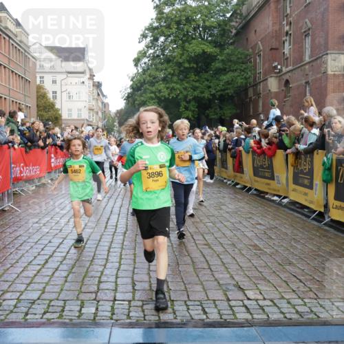 13.09.2026 - Kiel Lauf Yannick Fuchs http://msf.ph/oto/10280715 13.09.2026 08:54:08 Ziel 488, 1244, 1540, 2324, 2489, 4618, 4717, 4956, 5236, 5586, 5993, 6134, 7470, 9291, 9850, 9880, 10775, 10868, 12111, 12112, 12663, 12829, 120, 193, 258, 262, 888, 1149, 1332, 1529, 1823, 2016, 2122, 2141, 2447, 3234, 4607, 4791, 5120, 5432, 5455, 6004, 6267, 6628, 6702, 6733, 7341, 7815, 8006, 8024, 8332, 8525, 8671, 8968, 9266, 9816, 10726, 10997, 11170, 11593, 11830, 12511, 12548, 12711, 12828, 241, 1218, 1463, 2610, 2742, 3211, 3896, 4059, 4494 meine-sportfotos.de
