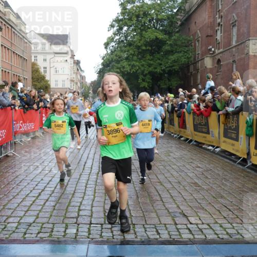 13.09.2026 - Kiel Lauf Yannick Fuchs http://msf.ph/oto/10280719 13.09.2026 08:54:09 Ziel 488, 1244, 1540, 2324, 2489, 4059, 4618, 4717, 4956, 5236, 5586, 5993, 6134, 7470, 9291, 9850, 9880, 10775, 10868, 12111, 12112, 12663, 12829, 120, 193, 258, 262, 888, 1149, 1332, 1529, 1823, 2122, 2141, 2324, 2447, 3234, 4607, 4791, 5120, 5432, 5455, 6004, 6267, 6628, 6702, 6733, 7341, 7815, 8006, 8024, 8332, 8525, 8671, 8968, 9266, 9816, 10726, 10997, 11170, 11593, 11830, 12511, 12548, 12663, 12711, 12828, 241, 1218, 1463, 2610, 2742, 3211, 3896, 3936, 4494 meine-sportfotos.de
