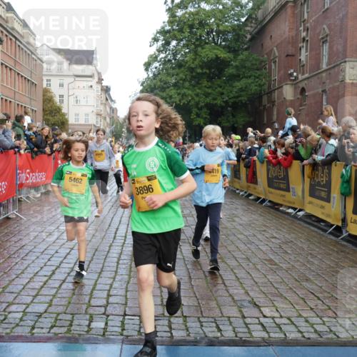 13.09.2026 - Kiel Lauf Yannick Fuchs http://msf.ph/oto/10280722 13.09.2026 08:54:09 Ziel 488, 1244, 1540, 2324, 2489, 4059, 4618, 4717, 4956, 5236, 5586, 5993, 6134, 7470, 9291, 9850, 9880, 10775, 10868, 12111, 12112, 12663, 12829, 120, 193, 258, 262, 888, 1149, 1332, 1529, 1823, 2122, 2141, 2324, 2447, 3234, 4607, 4791, 5120, 5432, 5455, 6004, 6267, 6628, 6702, 6733, 7341, 7815, 8006, 8024, 8332, 8525, 8671, 8968, 9266, 9816, 10726, 10997, 11170, 11593, 11830, 12511, 12548, 12663, 12711, 12828, 241, 1218, 1463, 2610, 2742, 3211, 3896, 3936, 4494 meine-sportfotos.de
