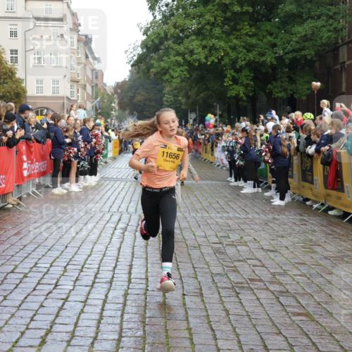 13.09.2026 - Kiel Lauf Yannick Fuchs http://msf.ph/oto/10280770 13.09.2026 08:54:13 Ziel 488, 1463, 1540, 2489, 2610, 4059, 4618, 4717, 5236, 5993, 6134, 7470, 9291, 9447, 9850, 9880, 10775, 10868, 10920, 11468, 11672, 11840, 12111, 12112, 120, 193, 258, 262, 888, 1149, 1244, 1332, 1529, 1823, 2122, 2141, 2324, 2447, 3234, 4607, 4791, 4956, 5120, 5432, 5586, 6267, 6628, 6702, 6733, 7341, 7815, 8006, 8024, 8332, 8671, 8968, 9266, 9816, 9880, 10726, 10997, 11170, 11593, 12511, 12548, 12663, 12711, 12828, 12829, 241, 1218, 2742, 3211, 3896, 3936, 4494 meine-sportfotos.de