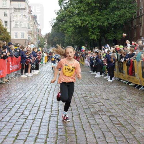 13.09.2026 - Kiel Lauf Yannick Fuchs http://msf.ph/oto/10280773 13.09.2026 08:54:13 Ziel 488, 1463, 1540, 2489, 2610, 4059, 4618, 4717, 5236, 5993, 6134, 7470, 9291, 9447, 9850, 9880, 10775, 10868, 10920, 11468, 11672, 11840, 12111, 12112, 120, 193, 258, 262, 888, 1149, 1244, 1332, 1529, 1823, 2122, 2141, 2324, 2447, 3234, 4607, 4791, 4956, 5120, 5432, 5586, 6267, 6628, 6702, 6733, 7341, 7815, 8006, 8024, 8332, 8671, 8968, 9266, 9816, 9880, 10726, 10997, 11170, 11593, 12511, 12548, 12663, 12711, 12828, 12829, 241, 1218, 2742, 3211, 3896, 3936, 4494 meine-sportfotos.de
