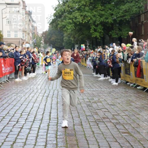 13.09.2026 - Kiel Lauf Yannick Fuchs http://msf.ph/oto/10280787 13.09.2026 08:54:14 Ziel 488, 1463, 1540, 2489, 2610, 4059, 4494, 4618, 4717, 5236, 5993, 6134, 7470, 9291, 9447, 9850, 10775, 10868, 10920, 11468, 11672, 11840, 12111, 12112, 120, 193, 258, 262, 1149, 1244, 1332, 1529, 1823, 2122, 2141, 2324, 2447, 3234, 4607, 4791, 4956, 5120, 5432, 5586, 6267, 6628, 6702, 6733, 7341, 7815, 8006, 8024, 8332, 8671, 8968, 9266, 9816, 9880, 10726, 10997, 11170, 11593, 12111, 12511, 12548, 12663, 12711, 12828, 12829, 241, 1218, 2742, 3211, 3896, 3936 meine-sportfotos.de