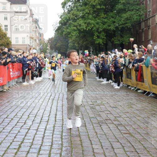 13.09.2026 - Kiel Lauf Yannick Fuchs http://msf.ph/oto/10280789 13.09.2026 08:54:14 Ziel 488, 1463, 1540, 2489, 2610, 4059, 4494, 4618, 4717, 5236, 5993, 6134, 7470, 9291, 9447, 9850, 10775, 10868, 10920, 11468, 11672, 11840, 12111, 12112, 120, 193, 258, 262, 1149, 1244, 1332, 1529, 1823, 2122, 2141, 2324, 2447, 3234, 4607, 4791, 4956, 5120, 5432, 5586, 6267, 6628, 6702, 6733, 7341, 7815, 8006, 8024, 8332, 8671, 8968, 9266, 9816, 9880, 10726, 10997, 11170, 11593, 12111, 12511, 12548, 12663, 12711, 12828, 12829, 241, 1218, 2742, 3211, 3896, 3936 meine-sportfotos.de