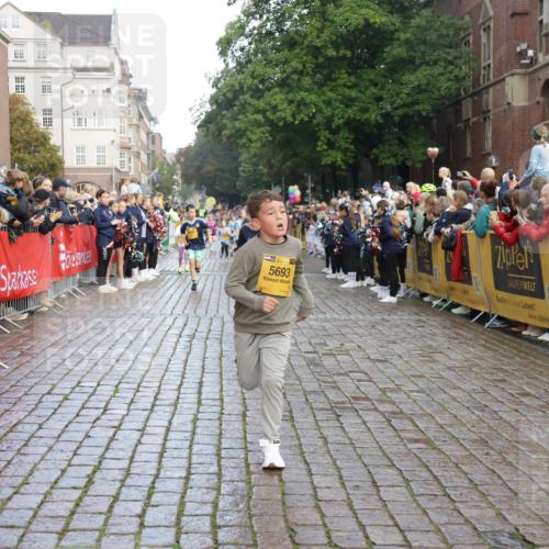 13.09.2026 - Kiel Lauf Yannick Fuchs http://msf.ph/oto/10280793 13.09.2026 08:54:15 Ziel 488, 1218, 1463, 1540, 2489, 2610, 4059, 4494, 4618, 4717, 4731, 5041, 5236, 5993, 6030, 6134, 7470, 9291, 9447, 9850, 10775, 10868, 10920, 11468, 11672, 11840, 12112, 120, 193, 258, 262, 1149, 1244, 1332, 1529, 1823, 2122, 2141, 2324, 2447, 3234, 4607, 4791, 4956, 5120, 5432, 5586, 6267, 6628, 6702, 6733, 7341, 7815, 8006, 8024, 8332, 8671, 8968, 9266, 9880, 10726, 10997, 11170, 12111, 12511, 12548, 12663, 12711, 12828, 12829, 241, 2742, 3211, 3896, 3936 meine-sportfotos.de
