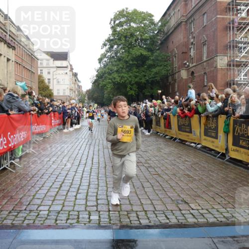 13.09.2026 - Kiel Lauf Yannick Fuchs http://msf.ph/oto/10280803 13.09.2026 08:54:15 Ziel 488, 1218, 1463, 1540, 2489, 2610, 4059, 4494, 4618, 4717, 4731, 5041, 5236, 5993, 6030, 6134, 7470, 9291, 9447, 9850, 10775, 10868, 10920, 11468, 11672, 11840, 12112, 120, 193, 258, 262, 1149, 1244, 1332, 1529, 1823, 2122, 2141, 2324, 2447, 3234, 4607, 4791, 4956, 5120, 5432, 5586, 6267, 6628, 6702, 6733, 7341, 7815, 8006, 8024, 8332, 8671, 8968, 9266, 9880, 10726, 10997, 11170, 12111, 12511, 12548, 12663, 12711, 12828, 12829, 241, 2742, 3211, 3896, 3936 meine-sportfotos.de