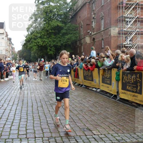 13.09.2026 - Kiel Lauf Yannick Fuchs http://msf.ph/oto/10280823 13.09.2026 08:54:17 Ziel 488, 1218, 1463, 1540, 2489, 2610, 4059, 4494, 4618, 4717, 4731, 5041, 5236, 6030, 6134, 6214, 6618, 7470, 9291, 9447, 9714, 10775, 10920, 11468, 11672, 11840, 120, 193, 258, 262, 1244, 1332, 1529, 1823, 2122, 2141, 2324, 2447, 3234, 4607, 4791, 4956, 5432, 5586, 5993, 6267, 6628, 6702, 6733, 7341, 7815, 8006, 8332, 9266, 9850, 9880, 10726, 10775, 10868, 11170, 12111, 12112, 12511, 12663, 12711, 12828, 12829, 241, 2742, 3211, 3896, 3936 meine-sportfotos.de
