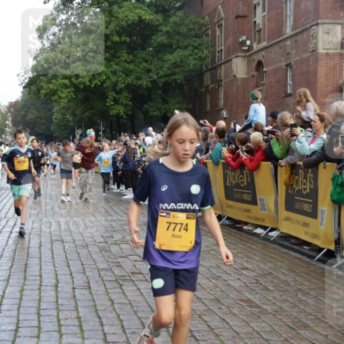 13.09.2026 - Kiel Lauf Yannick Fuchs http://msf.ph/oto/10280826 13.09.2026 08:54:17 Ziel 488, 1218, 1463, 1540, 2489, 2610, 4059, 4494, 4618, 4717, 4731, 5041, 5236, 6030, 6134, 6214, 6618, 7470, 9291, 9447, 9714, 10775, 10920, 11468, 11672, 11840, 120, 193, 258, 262, 1244, 1332, 1529, 1823, 2122, 2141, 2324, 2447, 3234, 4607, 4791, 4956, 5432, 5586, 5993, 6267, 6628, 6702, 6733, 7341, 7815, 8006, 8332, 9266, 9850, 9880, 10726, 10775, 10868, 11170, 12111, 12112, 12511, 12663, 12711, 12828, 12829, 241, 2742, 3211, 3896, 3936 meine-sportfotos.de