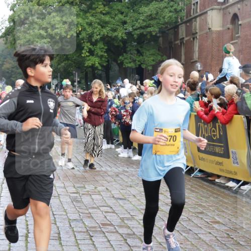 13.09.2026 - Kiel Lauf Yannick Fuchs http://msf.ph/oto/10280860 13.09.2026 08:54:21 Ziel 241, 1218, 1463, 2610, 2742, 3211, 3896, 4059, 4419, 4494, 4731, 5041, 5462, 6030, 6134, 6214, 6618, 7055, 8545, 9291, 9447, 9714, 10920, 11468, 11672, 11840, 120, 193, 258, 262, 488, 1244, 1529, 1540, 1823, 2122, 2141, 2324, 2489, 3234, 4607, 4618, 4717, 4791, 4956, 5236, 5432, 5586, 5993, 6267, 6628, 6733, 7341, 7470, 7815, 8006, 8332, 9266, 9850, 9880, 10726, 10775, 10868, 12111, 12112, 12511, 12663, 12711, 12829, 2139, 3936 meine-sportfotos.de