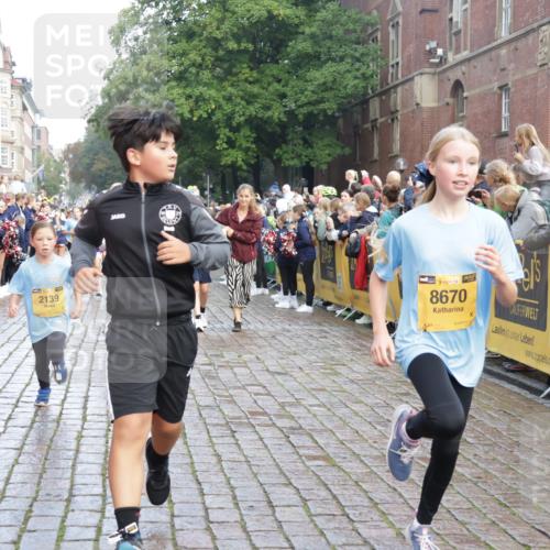 13.09.2026 - Kiel Lauf Yannick Fuchs http://msf.ph/oto/10280869 13.09.2026 08:54:21 Ziel 241, 1218, 1463, 2610, 2742, 3211, 3896, 4059, 4419, 4494, 4731, 5041, 5462, 6030, 6134, 6214, 6618, 7055, 8545, 9291, 9447, 9714, 10920, 11468, 11672, 11840, 120, 193, 258, 262, 488, 1244, 1529, 1540, 1823, 2122, 2141, 2324, 2489, 3234, 4607, 4618, 4717, 4791, 4956, 5236, 5432, 5586, 5993, 6267, 6628, 6733, 7341, 7470, 7815, 8006, 8332, 9266, 9850, 9880, 10726, 10775, 10868, 12111, 12112, 12511, 12663, 12711, 12829, 2139, 3936 meine-sportfotos.de