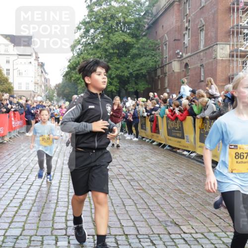 13.09.2026 - Kiel Lauf Yannick Fuchs http://msf.ph/oto/10280877 13.09.2026 08:54:21 Ziel 241, 1218, 1463, 2610, 2742, 3211, 3896, 4059, 4419, 4494, 4731, 5041, 5462, 6030, 6134, 6214, 6618, 7055, 8545, 9291, 9447, 9714, 10920, 11468, 11672, 11840, 120, 193, 258, 262, 488, 1244, 1529, 1540, 1823, 2122, 2141, 2324, 2489, 3234, 4607, 4618, 4717, 4791, 4956, 5236, 5432, 5586, 5993, 6267, 6628, 6733, 7341, 7470, 7815, 8006, 8332, 9266, 9850, 9880, 10726, 10775, 10868, 12111, 12112, 12511, 12663, 12711, 12829, 2139, 3936 meine-sportfotos.de
