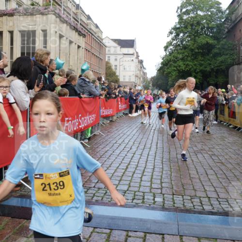 13.09.2026 - Kiel Lauf Yannick Fuchs http://msf.ph/oto/10280889 13.09.2026 08:54:23 Ziel 241, 1218, 1463, 2610, 2742, 3211, 3896, 4059, 4419, 4494, 4731, 5041, 5462, 6030, 6134, 6214, 6618, 6740, 6945, 7055, 8110, 8111, 8545, 9291, 9447, 9714, 10920, 10937, 11468, 11672, 11840, 120, 193, 258, 262, 488, 1244, 1529, 1540, 1823, 2122, 2141, 2324, 2489, 4607, 4618, 4717, 4791, 4956, 5236, 5432, 5586, 5993, 6134, 6267, 6628, 6733, 7341, 7470, 7815, 8006, 8332, 9266, 9291, 9850, 9880, 10726, 10775, 10868, 12111, 12112, 12663, 12711, 12829, 1701, 2139, 3936 meine-sportfotos.de