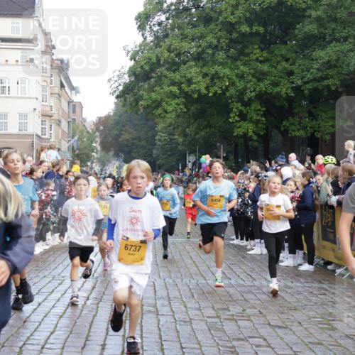 13.09.2026 - Kiel Lauf Yannick Fuchs http://msf.ph/oto/10280929 13.09.2026 08:54:27 Ziel 241, 1218, 2742, 3211, 3896, 3936, 4419, 4494, 4731, 5041, 5462, 5693, 6030, 6214, 6618, 6740, 6945, 7055, 8110, 8111, 8545, 9447, 9714, 10920, 10937, 11656, 120, 193, 258, 262, 488, 1244, 1463, 1529, 1540, 1823, 2122, 2141, 2324, 2489, 2610, 4059, 4618, 4717, 4791, 4956, 5236, 5432, 5586, 5993, 6134, 6733, 7341, 7470, 7815, 8006, 8332, 9291, 9850, 9880, 10726, 10775, 10868, 10920, 11468, 11672, 11840, 12111, 12112, 12663, 12711, 12829, 159, 1701, 2139, 2770, 4227 meine-sportfotos.de