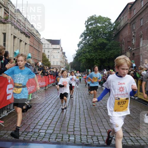 13.09.2026 - Kiel Lauf Yannick Fuchs http://msf.ph/oto/10280952 13.09.2026 08:54:28 Ziel 241, 1218, 2742, 3211, 3896, 3936, 4419, 4494, 4731, 5041, 5462, 5693, 6030, 6214, 6618, 6740, 6945, 7055, 7774, 8110, 8111, 8545, 9447, 9714, 10937, 11656, 120, 193, 488, 1244, 1463, 1529, 1540, 1823, 2122, 2141, 2324, 2489, 2610, 4059, 4618, 4717, 4791, 4956, 5236, 5432, 5586, 5993, 6134, 6733, 7341, 7470, 7815, 8006, 8332, 9291, 9447, 9850, 9880, 10726, 10775, 10868, 10920, 11468, 11672, 11840, 12111, 12112, 12663, 12711, 12829, 159, 561, 820, 1701, 2139, 2770, 4227 meine-sportfotos.de