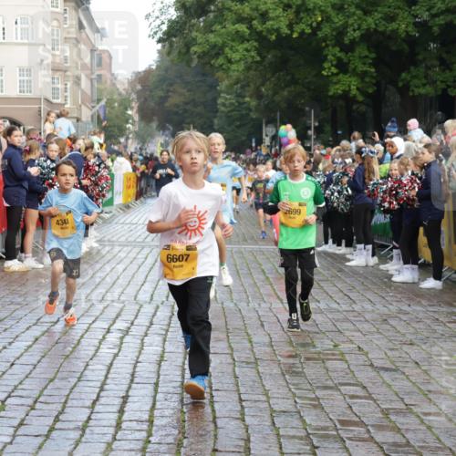 13.09.2026 - Kiel Lauf Yannick Fuchs http://msf.ph/oto/10281028 13.09.2026 08:54:35 Ziel 241, 2139, 2542, 3211, 3457, 3896, 3936, 4419, 5462, 5693, 6740, 6945, 7055, 7774, 8110, 8111, 8670, 8850, 9698, 10488, 10937, 11656, 488, 1218, 1244, 1463, 1540, 2489, 2610, 2742, 3896, 4059, 4494, 4618, 4717, 4731, 4956, 5041, 5236, 5586, 5993, 6030, 6134, 6214, 6618, 7470, 8545, 9291, 9447, 9714, 9850, 9880, 10775, 10868, 10920, 11468, 11672, 11840, 12111, 12112, 12829, 159, 561, 820, 1701, 2699, 2770, 4227, 4348, 6607, 120, 2122 meine-sportfotos.de
