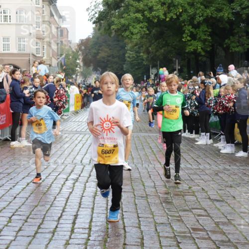 13.09.2026 - Kiel Lauf Yannick Fuchs http://msf.ph/oto/10281032 13.09.2026 08:54:35 Ziel 241, 2139, 2542, 3211, 3457, 3896, 3936, 4419, 5462, 5693, 6740, 6945, 7055, 7774, 8110, 8111, 8670, 8850, 9698, 10488, 10937, 11656, 488, 1218, 1244, 1463, 1540, 2489, 2610, 2742, 3896, 4059, 4494, 4618, 4717, 4731, 4956, 5041, 5236, 5586, 5993, 6030, 6134, 6214, 6618, 7470, 8545, 9291, 9447, 9714, 9850, 9880, 10775, 10868, 10920, 11468, 11672, 11840, 12111, 12112, 12829, 159, 561, 820, 1701, 2699, 2770, 4227, 4348, 6607, 120, 2122 meine-sportfotos.de